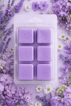 Waxmelts herfst/winter