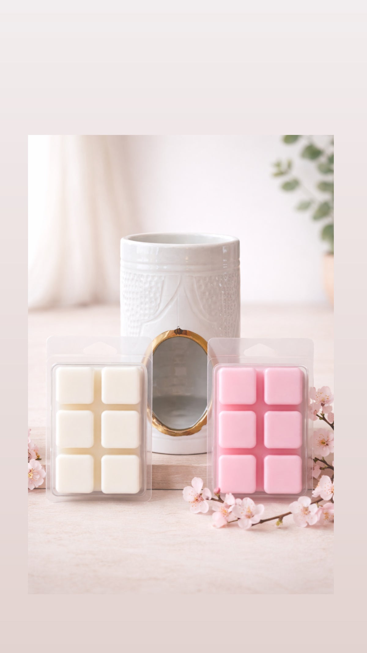 Waxmelts herfst/winter