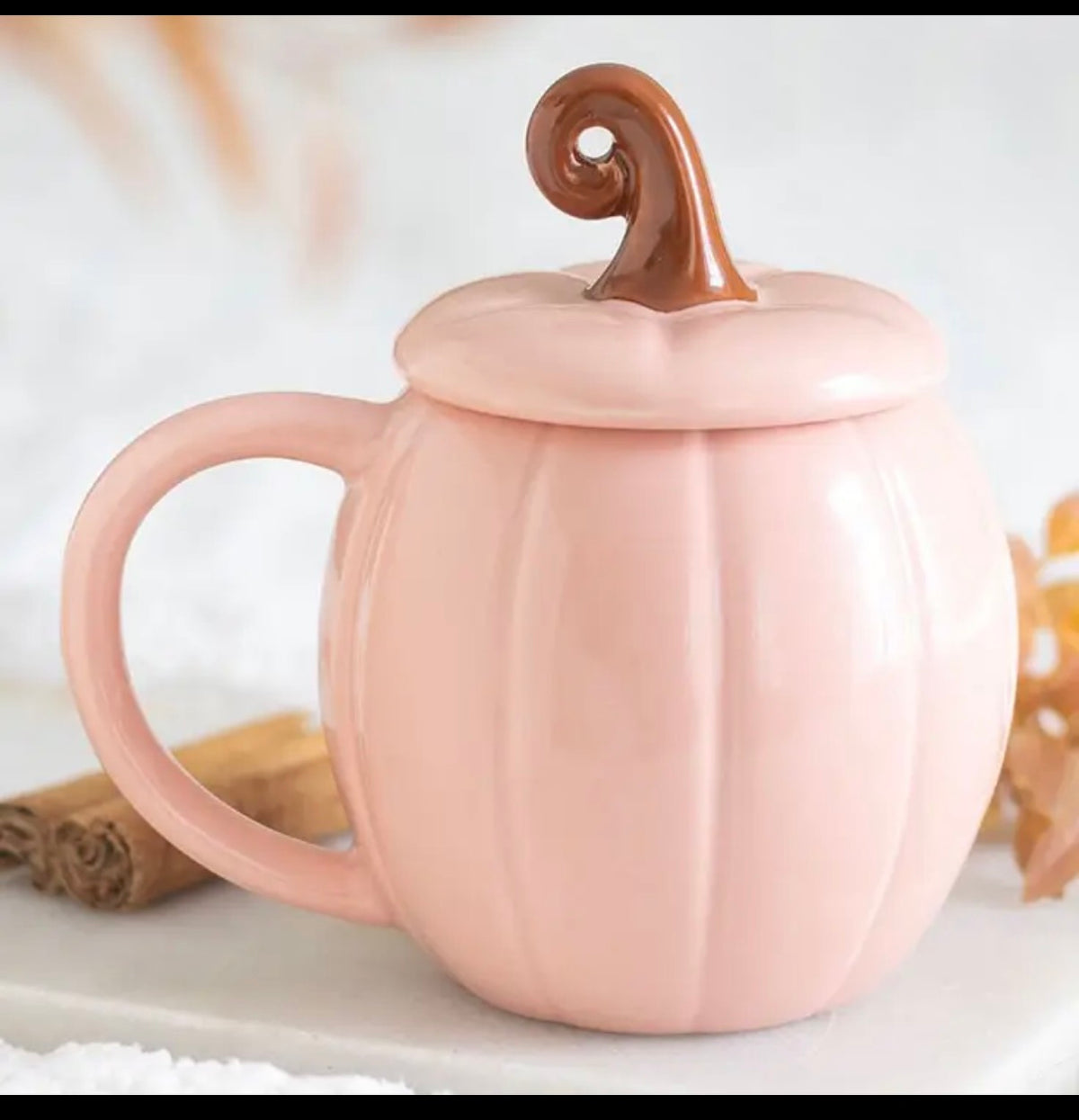 Roze pompoen mok glans