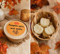 Pumpkin spice Waxmelts